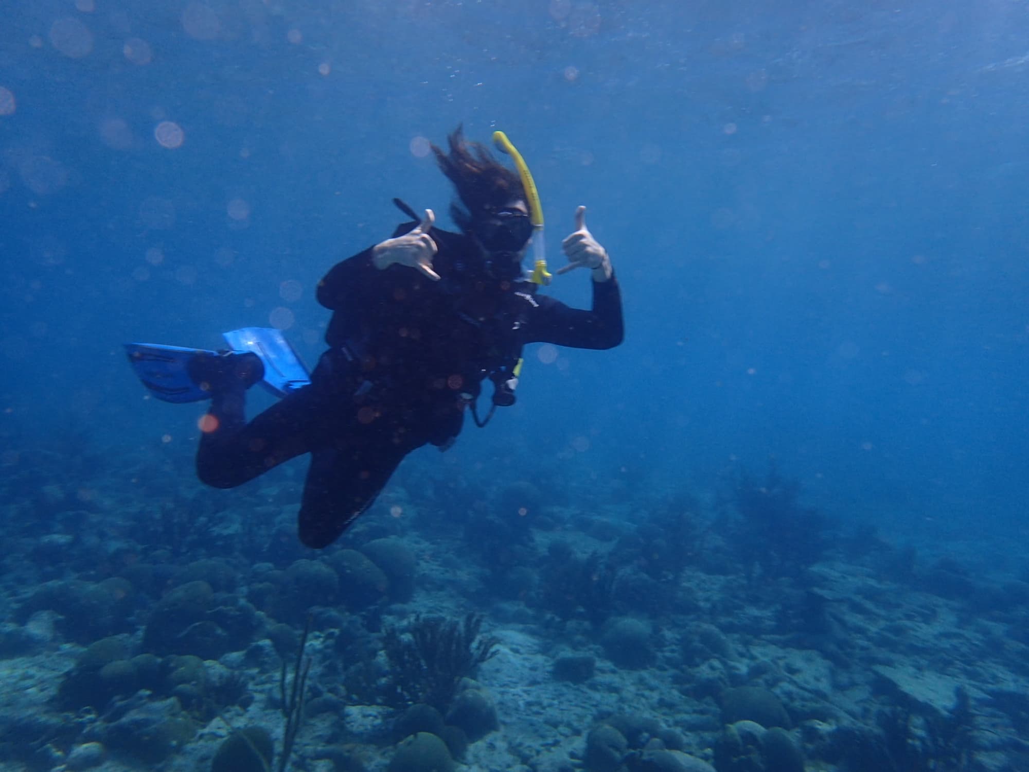 Discovery Place aquarist Matt Lowder, a UNC Charlotte alumnus, participates in research trips to the Caribbean that involve University faculty and students.