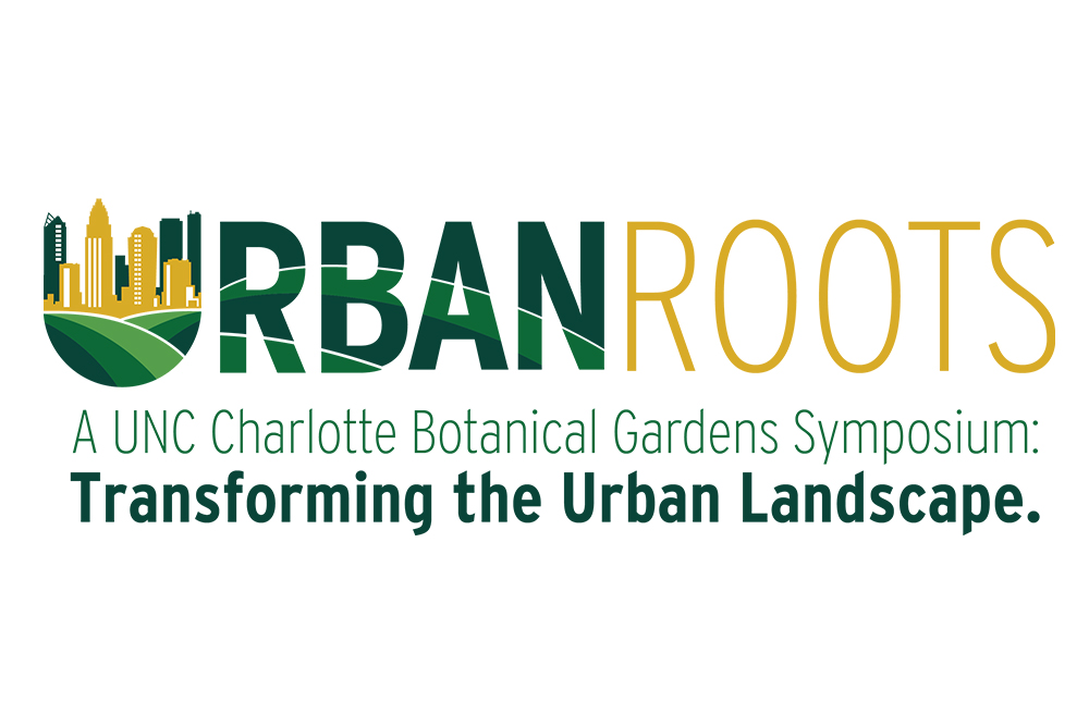 Urban Roots: Transforming the Urban Landscape